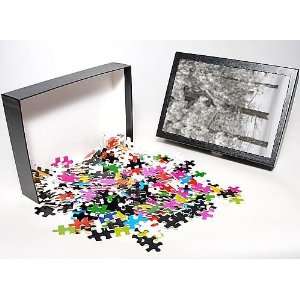   Puzzle of Snow covered pine trees from Robert Harding Toys & Games