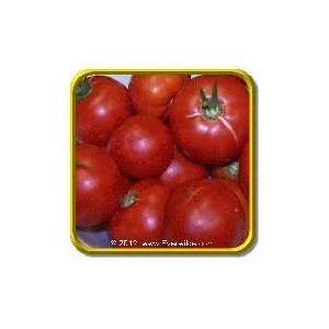  Wisconsin 55   Jumbo Heirloom Tomato Seed Packet (50 