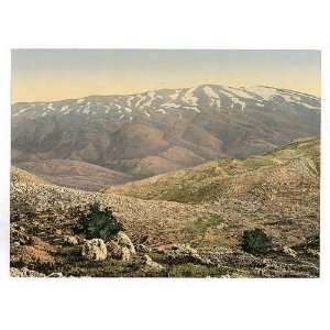  Photochrom Reprint of General view, Mount Hermon, Holy 