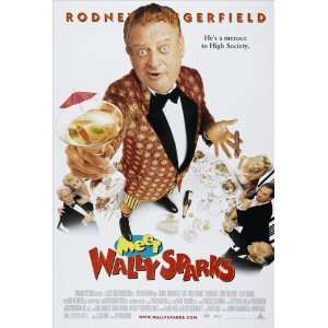  Meet Wally Sparks   Movie Poster   27 x 40