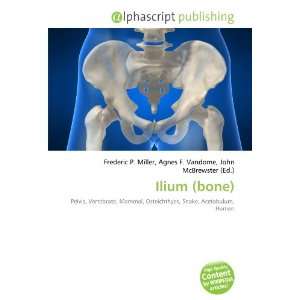  Ilium (bone) (9786133824911) Books