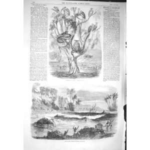    1856 FLOODS INDIA TREE REFUGE TRAVELLERS INUNDATION