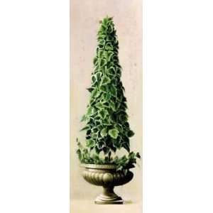  Florentine Topiary l artist Welby 13x37