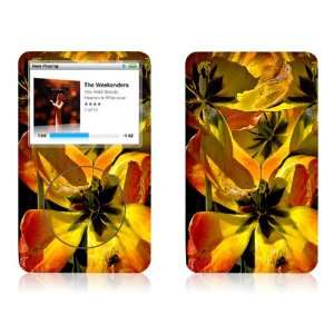  Early Spring   Apple iPod Classic Protective Skin Decal 