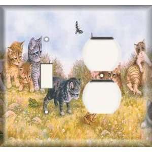    Switch / Outlet Combo Plate   Curious Cats