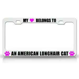 MY HEART BELONGS TO AN AMERICAN LONGHAIR Cat Pet Auto License Plate 