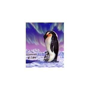  Penguin Signature Collection Mink Blanket Queen Size: Home 