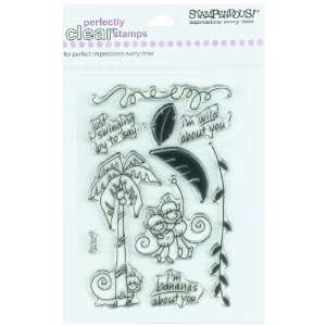  Stampendous Perfectly Clear Stamps   Changito Dos