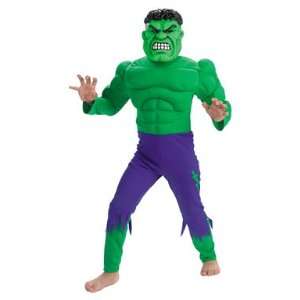    The Incredible Hulk Muscle Kids Halloween Costume Toys & Games