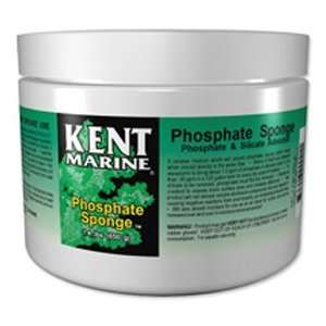  Kent Marine Phosphate Sponge 1 Gal: Pet Supplies