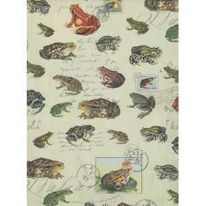  Nature Postcard Paper  Frogs & Toads 20x27 Inch Sheet 