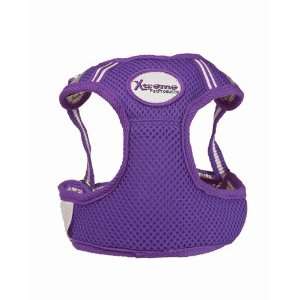   lbs   no better harness available for your little buddy   Purple