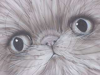 ORIGINAL ART PERSIAN CAT KITTY CAT ARTWORK KIMBEARLYS  