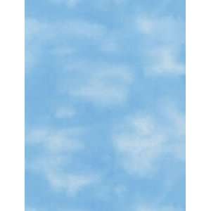  Sky Blue Wallpaper in Brothers and Sisters: Home 