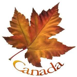  Canada Souvenir Fridge Magnet Canada Keepsake: Home 