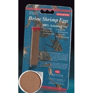  Brine Shrimp Hatchery Kit, 5.3 Lbs