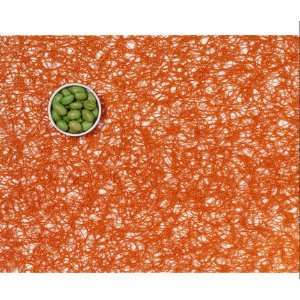  Chilewich Spun Vinyl Placemat Orange