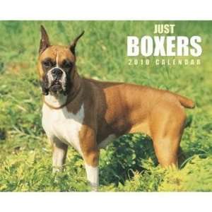 Just Boxers 2010 Wall Calendar