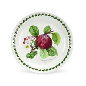  Portmeirion Pomona Salad Plate Hoary Morning Apple 
