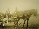 antique photo harnessed horse drawn field hay plow ride returns