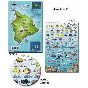  Big Island Hawaii Fish and Creature Guide: Sports 