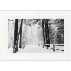  Fine art forest photo holiday greeting card. Health 