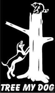 Tree My Dog Coon Hunting Decal 6 Sticker  