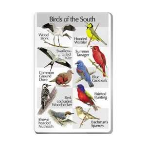  Birds of The South (Optics, Cameras, Bird Calls 