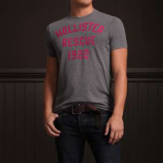 Hollister Hco By Abercrombie Mens Musclefit Short Sleeve Tshirt Daley 