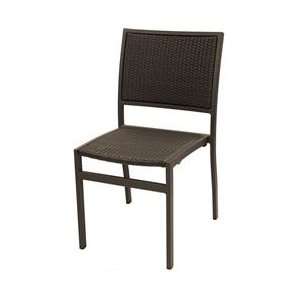 St. Augustine Collection Side Chair with Black Frame