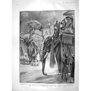  1903 VICEROY ENTRY DELHI INDIA DUKE CONNAUGHT ELEPHANTS 