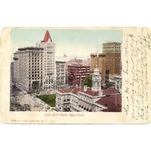   1905 Vintage Postcard City Hall Park   New York City 