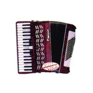  Parrot Piano Accordion 72 Bass 34 Keys T5004: Musical 