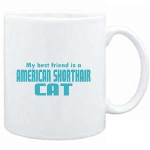   FRIEND IS a American Shorthair  Cats 