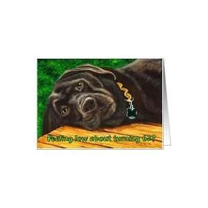  Funny Birthday ~ 62 Years Old ~ Labrador Dog Card: Toys 