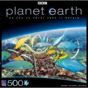  Planet Earth Bonda Sea Puzzle   500 Pcs. Toys & Games