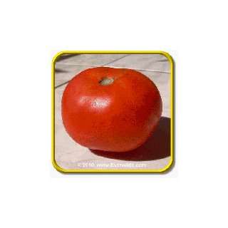  1 Lb Heirloom Tomato Seeds   New Yorker Bulk Vegetable Seeds 