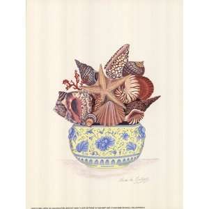 Seashell Collection III Finest LAMINATED Print Lorna De Gallegos 9x12 