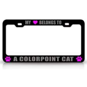 MY HEART BELONGS TO A COLORPOINT Cat Pet Auto License Plate Frame Tag 