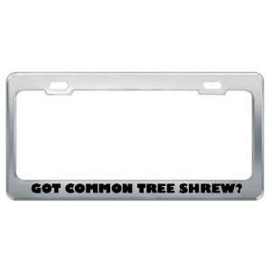 Got Common Tree Shrew? Animals Pets Metal License Plate Frame Holder 
