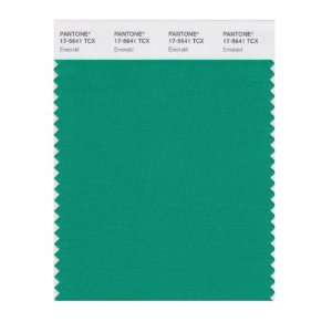  PANTONE SMART 17 5641X Color Swatch Card, Emerald: Home 