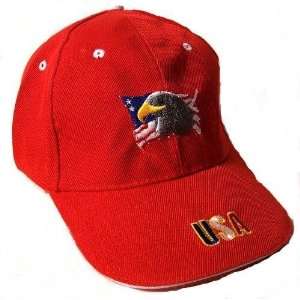  Fiber Optic Cap USA Eagle with Flag Red Health & Personal 