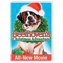 Beethovens Christmas Adventure   Universal Studios   