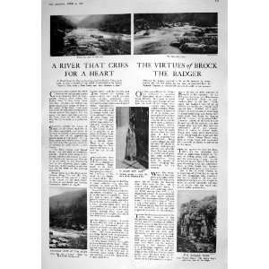  1925 BADGER EAGLES ROCK BROAD STONE BENJY TOR WOMANS 