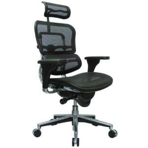  Raynor Ergohuman Chair   Mesh, High Back w/ Headrest 
