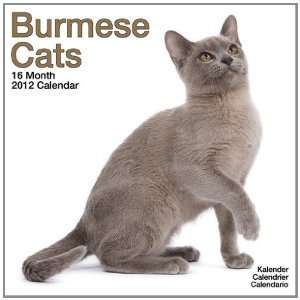  Cats   Burmese 2012 Wall Calendar: Office Products