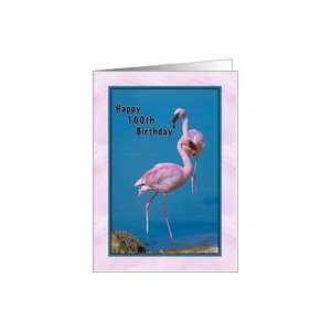  Birthday, 100th, Pink Flamingos Card Toys & Games