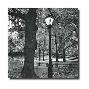  A Light In Central Park Giclee Print: Home & Kitchen