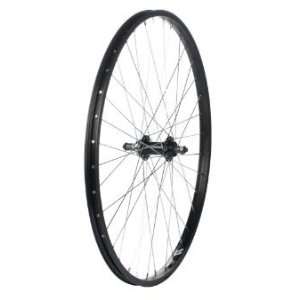 Alex X101 Rear Wheel MTB   26 x 1.75, (Black Rim):  Sports 