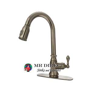  Brushed Nickel Single Handle Pull Out Kitchen Faucet
